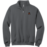 Biggby Bandits NuBlend 1/4-Zip Cadet Collar Sweatshirt