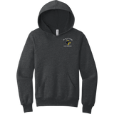 Delaware Jr. Blue Hens Youth Sponge Fleece Pullover Hoodie